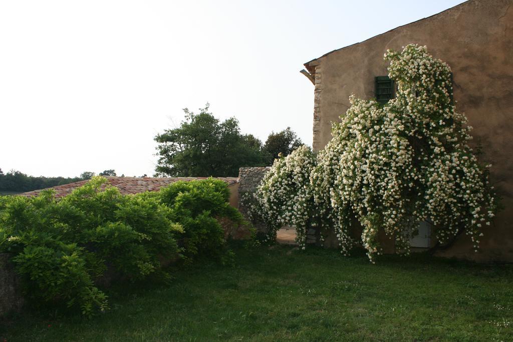 Domaine De La Blaque - B&B Varages Esterno foto