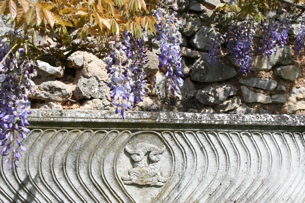 Domaine De La Blaque - B&B Varages Camera foto