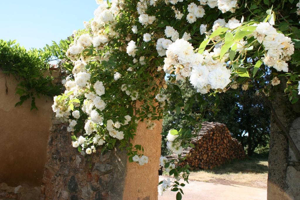 Domaine De La Blaque - B&B Varages Esterno foto