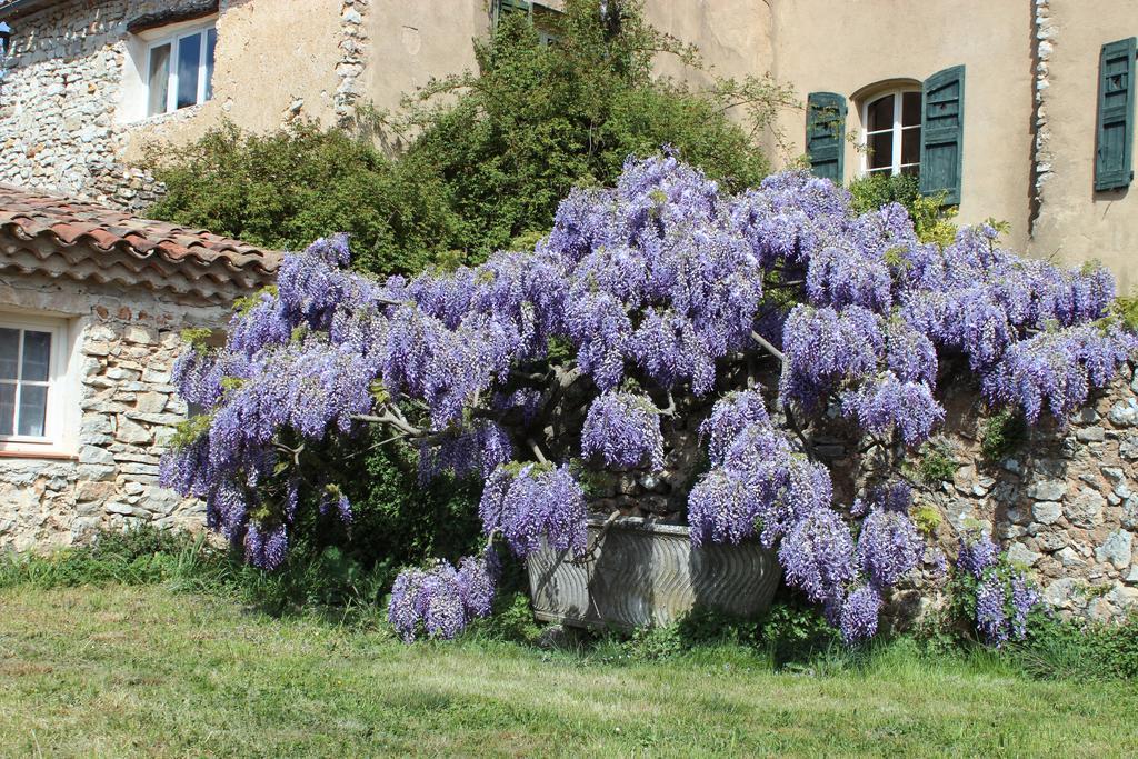 Domaine De La Blaque - B&B Varages Esterno foto